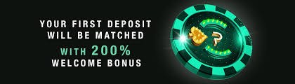 VIP Loyalty Program